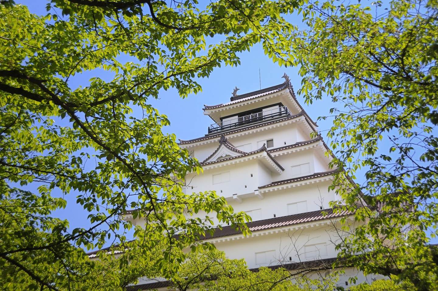 新緑の鶴ヶ城